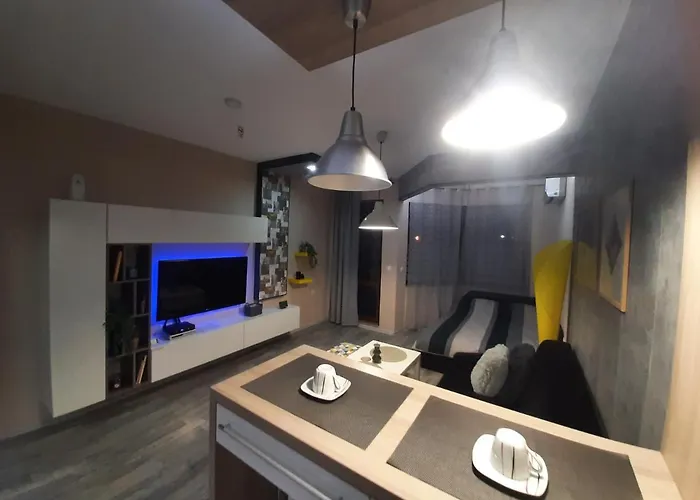 Art Vinitsa Apartment Varna